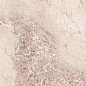 L315373MF6 Gemstone Gem Rose Luc 300x150 IRIS FMG