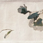 PT02551 Esenzia Fabola Green Mix 15x30 Mainzu