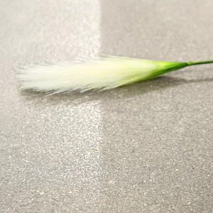 Fiji Realistik