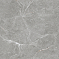 Stone Cool Grey Серый Матовый 60х120 Ceradim