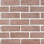 Сиетл 07-06 рядовая 230х70х10 Ecostone
