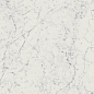 610015000550 Charme Extra Carrara Lux Ret 60x60 Italon