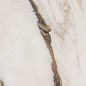 PF60009170 Sensi Signoria Calacatta Vena Oro Nat R 60x120 ABK