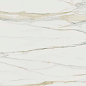 750719 I Classici Calacatta Gold Glossy Ret 60x60 Rex Ceramiche