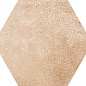 MMYJ Cotti D Italia Rosato 21x18.2 MARAZZI Italy