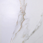 Calacatta Arcadia Ceramica