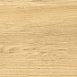 BHD-2009 Walnut бежевый матовый структурный 20x120 Basconi Home
