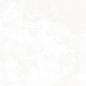 Royal Swiss White белый матовый 60х60 Laparet