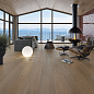 Lignum VIVES