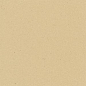 100CAIVO cx.10 IVORY IVO 10x10 Winckelmans