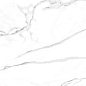 NR208 Milos White 60x120 PrimaVera