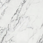 184881 Fondo Ret. Statuario Lux 10mm 59x59 Sichenia