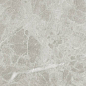 P628391 Blue De Savoie Naturale 8mm 60x120 IRIS FMG