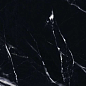 Geox Black High Polish 60x120 Bonaparte