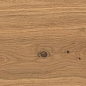 AX5Y Log Amber Oak Forest Matte 20x180 Atlas Concorde