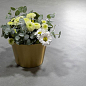 Cosmopolita Ivory Matt 160x320 TAU Ceramica