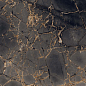 GR101 Golden Black High glossy 600x600 PrimaVera