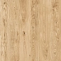NR0395-M Керафорест Pine Коричневый светлый матовый 600x600x9.5 ProGRES Ceramica фото в миниатюре 5