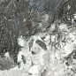60120TUM25P Tuman graphite полированный 600x1200x7 Artkera Group фото в миниатюре 3