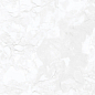 RC 5032 White End Carving 60х120 Lavit Tile