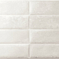 Dream White 30x60 El Molino
