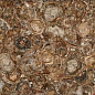 MC-SP09 Petrified Wood (Round) (Compound With Granit) 100x100 Marmocer