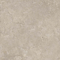 11021 Shell LB 60х120 Creto