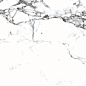 CR103 Blanco Tranco carving 600х600х9 PrimaVera