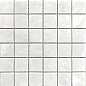 White Polished 48X48 30.5X30.5 StarMosaic