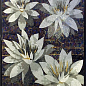 Fiori Scuro 106x156 Decor Marmi