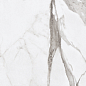 PF60004974 Epoque White Statuario Lap 60X120 Ariana