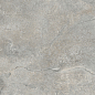 LP6012G0141R Storm Ash Pro серый матовый R10 STR 59,5х119,1 Laparet