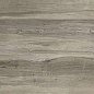 Drift Wood Bianco Carving 60x120 ITC