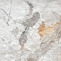 Napoli Rect 30x60 Alborz Ceramic