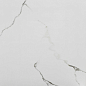 2011 Carrara Polished 60*60 Tile Kraft
