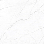 Royal Infinite White 120x60 Velsaa