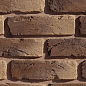 Декоративный кирпич Плоскость Орлеан 444 25-28x7-8x1,7 Leonardo Stone