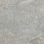 LP6012G0141R Storm Ash Pro серый матовый R10 STR 59,5х119,1 Laparet