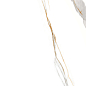Nashira Полированный 80x80 Laparet