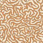 4101189 Nok Snake Terra 120x120 41ZERO42