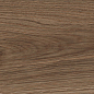Burl Wood Natural Matt 20х120 A-Ceramica фото в миниатюре 8