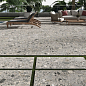 Inlay STN Ceramica
