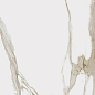 610010000779 Charme Evo Calacatta 60x60 Italon