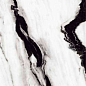 R0004-GL Black Panda полированный 600x1200 AVS
