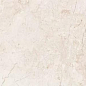 6406 Stone Ivory Polished 60x120 Leopard