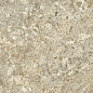 610010005676 F.d.M.Quark Brazilian Gold Grip 60x120 Atlas Concorde Russia