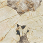 AFXQ Marvel Desert Soul Lappato 60x120 Atlas Concorde