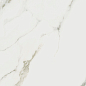 K951682R0001VTER Калакатта Оро Матовый R9 Ректификат 60x120 Vitra