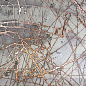BRAB12 Decor Bright Bronze 60х120 Brennero