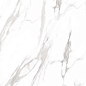 Marble Royal White 120x60 Artcer